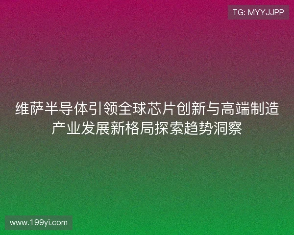 维萨半导体引领全球芯片创新与高端制造产业发展新格局探索趋势洞察